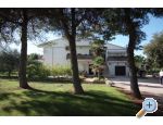 Appartements Liveric - ostrov Vir Croatie