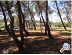 Appartements Liveric - ostrov Vir Croatie