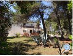 Appartements Liveric - ostrov Vir Croatie