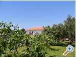 Appartements Liveric - ostrov Vir Croatie