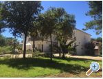 Appartements Liveric - ostrov Vir Croatie