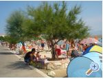 Appartements-MGM Vir - ostrov Vir Croatie