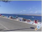 Appartements-MGM Vir - ostrov Vir Croatie