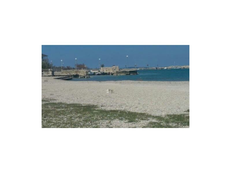 Kuća za odmor Venus – Ferienwohnung Insel Vir, Kroatien – Foto 10