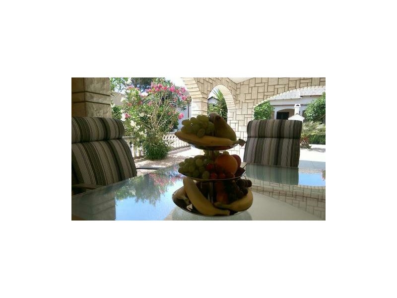 Kuća za odmor Venus – Ferienwohnung Insel Vir, Kroatien – Foto 2