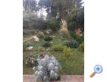 Maison de vacances Barbenjak - ostrov Vir Croatie