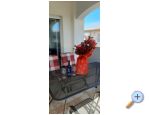 Villa Marty - ostrov Vir Croatie