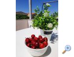 Nedi Apartmaji - ostrov Vir Hrvaka