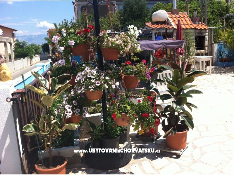 Petra apartmani – ubytování ostrov Vir, Chorvatsko – foto 11