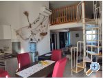 Studio apartman "Zara" - ostrov Vir Croatie