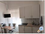 Villa Dado - ostrov Vir Croatie