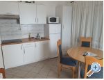 Villa Dado - ostrov Vir Croatie