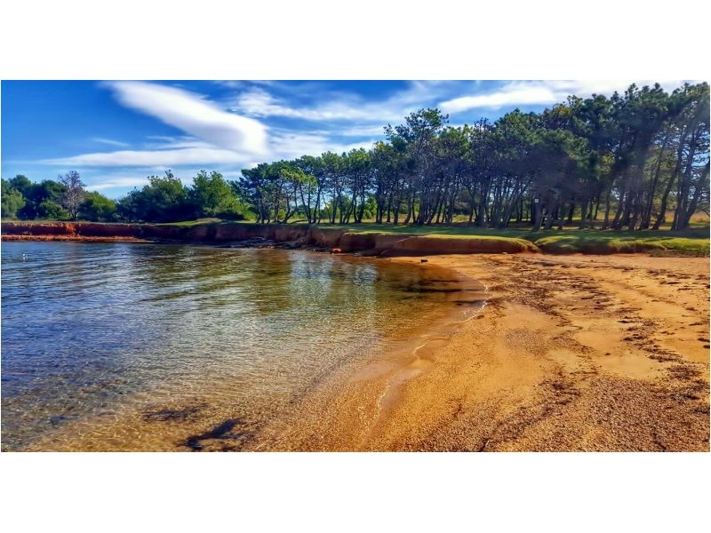 Villa mama Mica – Ferienwohnung Insel Vir, Kroatien – Foto 12