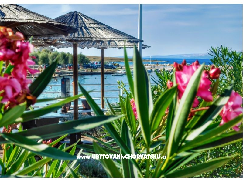 Villa mama Mica – Ferienwohnung Insel Vir, Kroatien – Foto 4