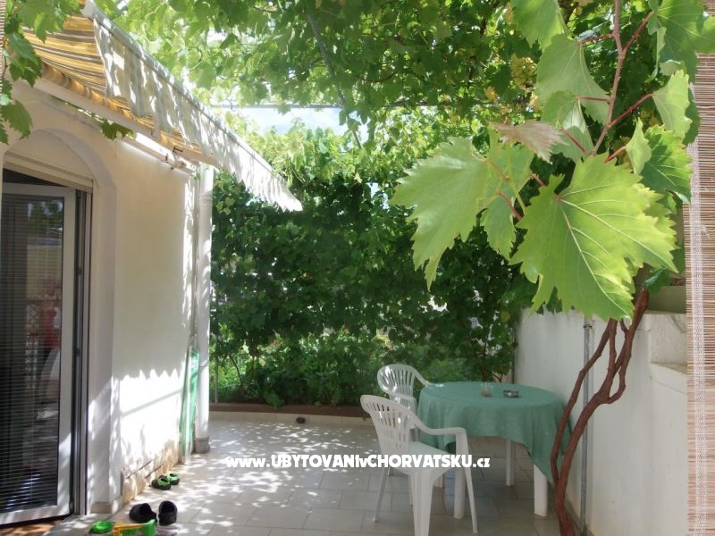 Ilona Maria Budija – Ferienwohnung Insel Vir, Kroatien – Foto 12