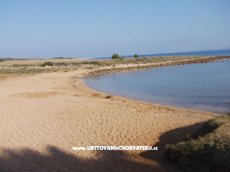 Ilona Maria Budija – Ferienwohnung Insel Vir, Kroatien – Foto 13