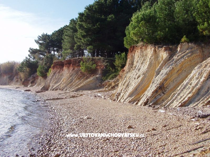 Ilona Maria Budija – Ferienwohnung Insel Vir, Kroatien – Foto 14