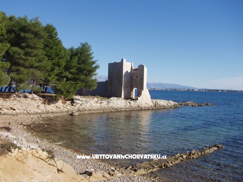 Ilona Maria Budija – Ferienwohnung Insel Vir, Kroatien – Foto 15