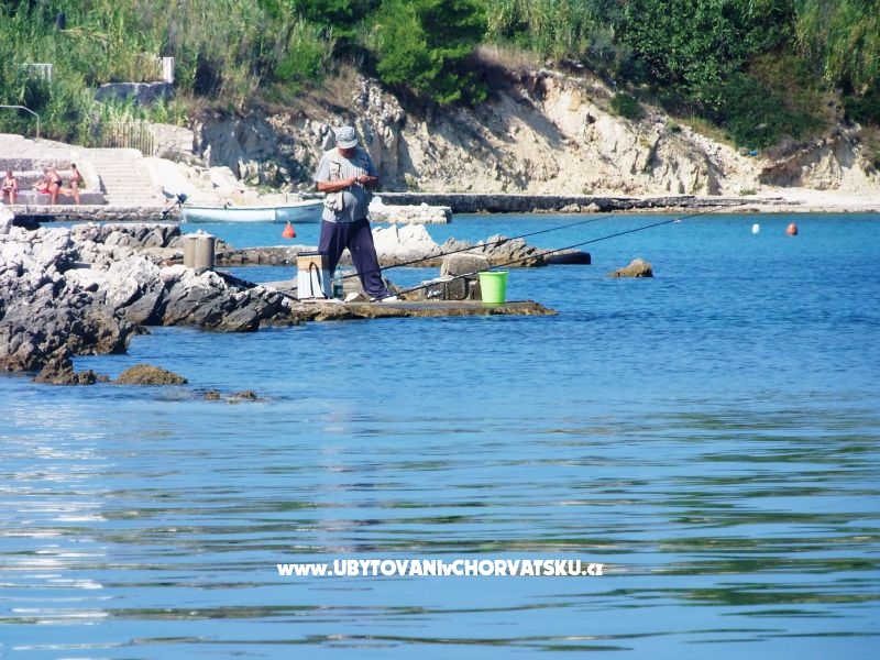 Ilona Maria Budija – Ferienwohnung Insel Vir, Kroatien – Foto 16