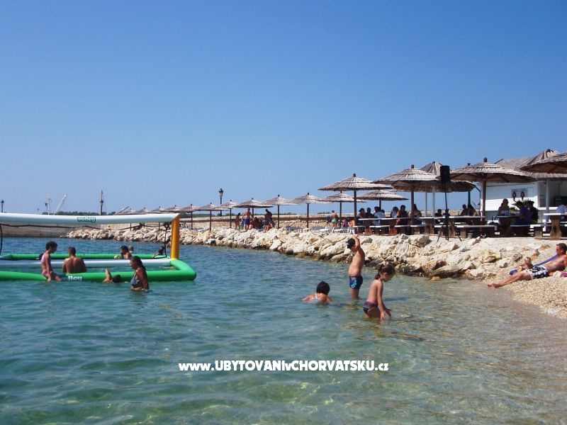 Ilona Maria Budija – Ferienwohnung Insel Vir, Kroatien – Foto 18