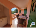 Villa Matea - Vir - ostrov Vir Kroatien