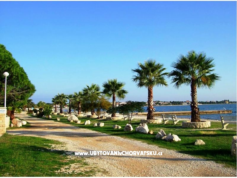 Villa Selina – Ferienwohnung Insel Vir, Kroatien – Foto 4