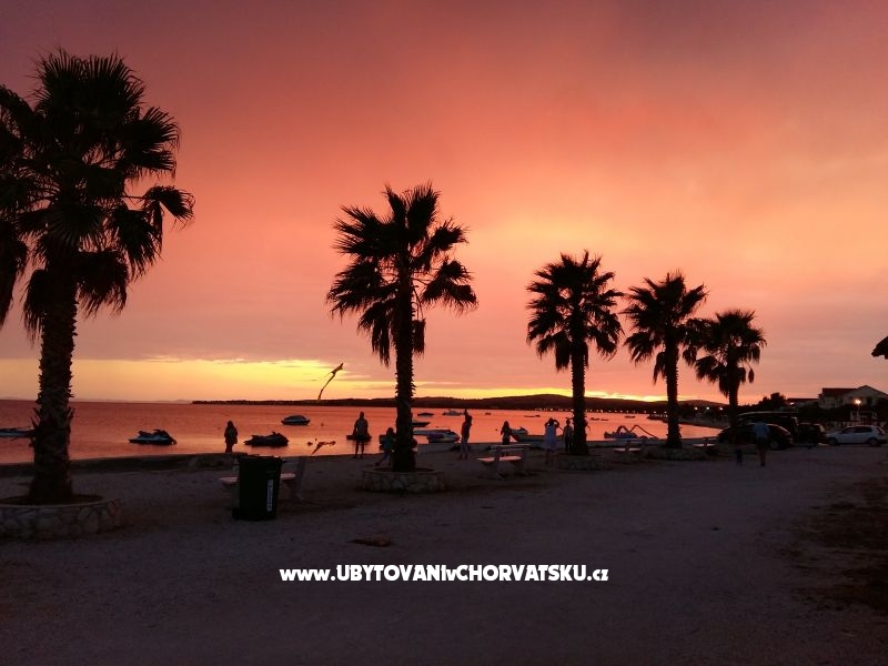 Villa Selina – Ferienwohnung Insel Vir, Kroatien – Foto 5