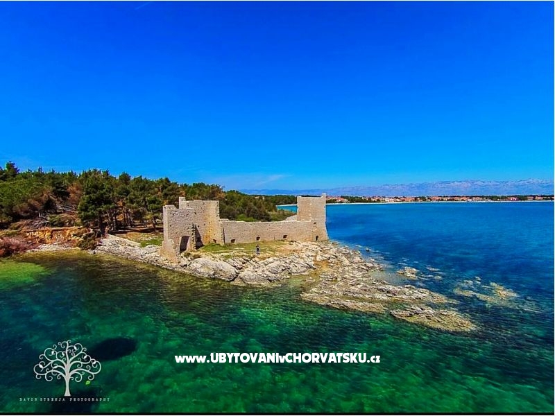 Villa Selina – Ferienwohnung Insel Vir, Kroatien – Foto 7