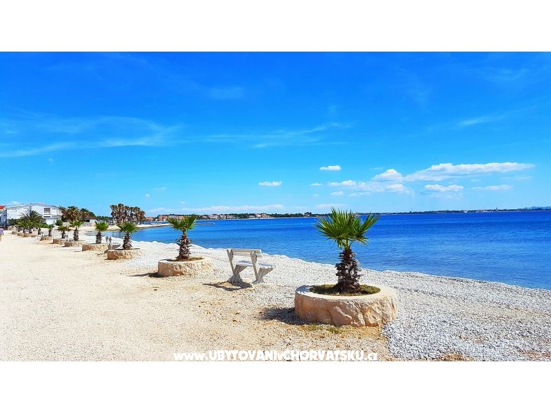 Villa Selina – Ferienwohnung Insel Vir, Kroatien – Foto 8