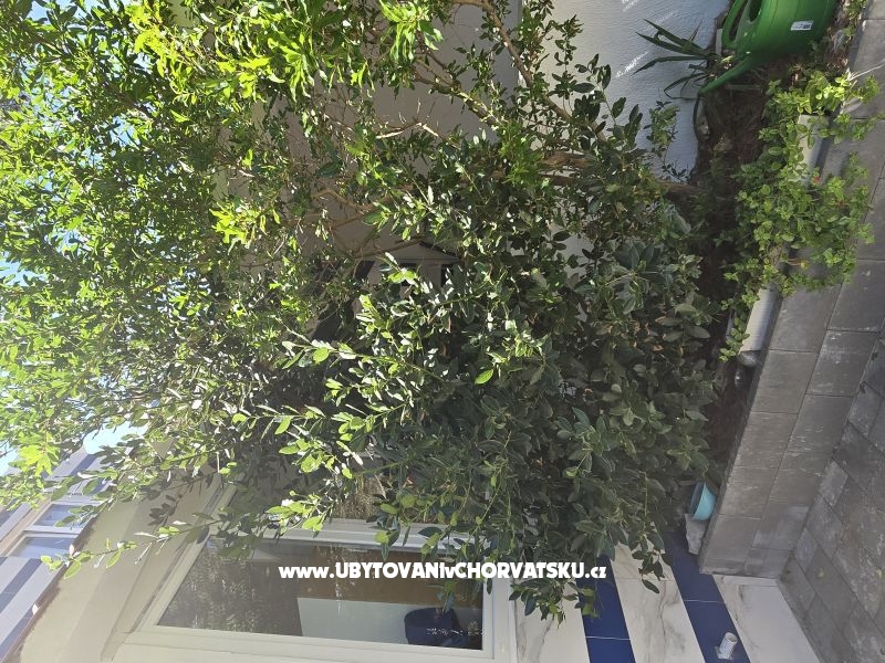 Sunset Paradise Apartmány Vir – ubytování ostrov Vir, Chorvatsko – foto 57