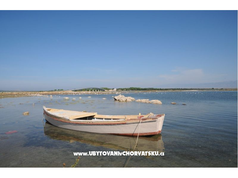 ZELIC FAMILY VIR – Ferienwohnung Insel Vir, Kroatien – Foto 20