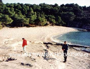 Ferienwohnungen ELA – Ferienwohnung Insel Vis, Kroatien – Foto 2