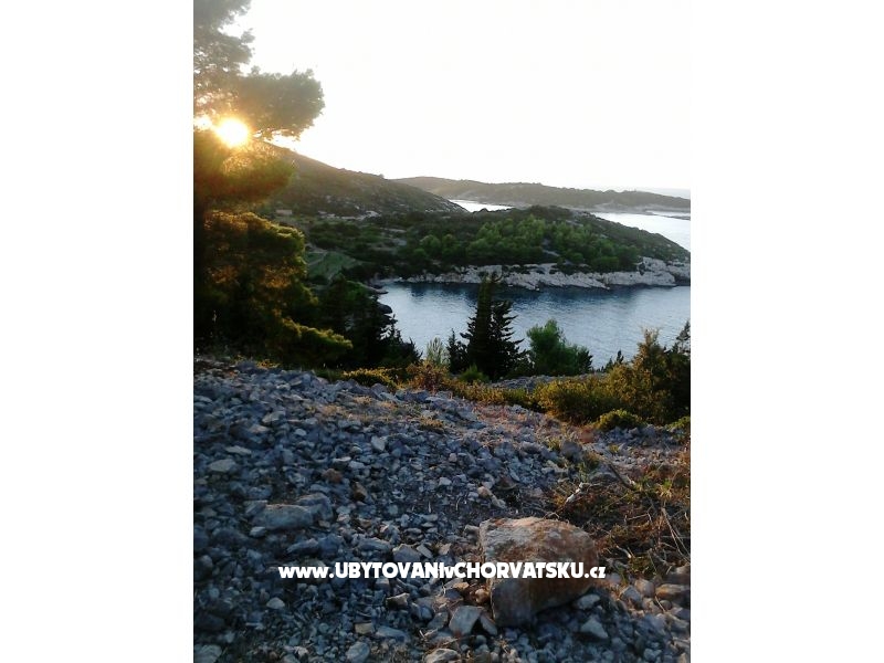 Appartements Bilić – Ferienwohnung Insel Vis, Kroatien – Foto 1