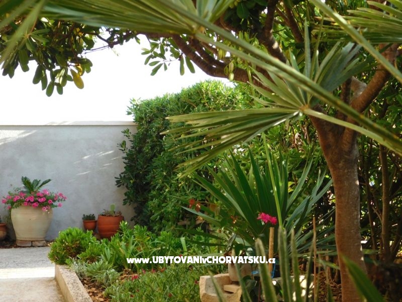 Vis - Apartmány Utrobicic – ubytování ostrov Vis, Chorvatsko – foto 11