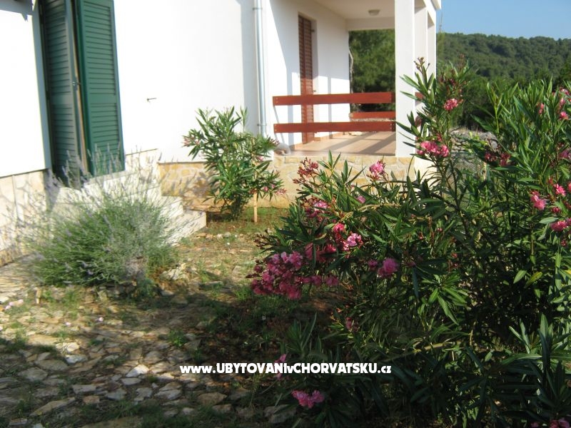 Apartmány Vlado – ubytování ostrov Vis, Chorvatsko – foto 9