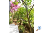Leandra Zimmers &amp; Appartement - ostrov Vis Kroatien