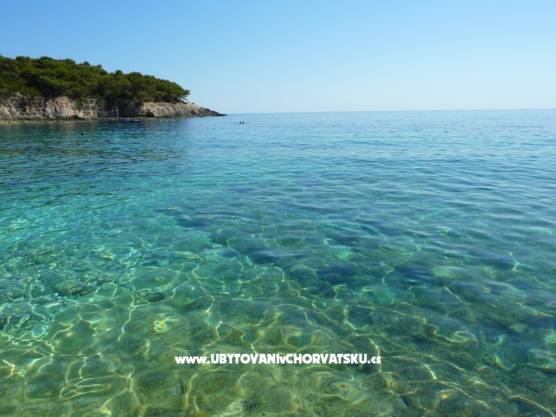 Villa Vinka*** – Ferienwohnung Insel Vis, Kroatien – Foto 12