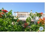 Apartma Maa - Vodice Hrvaka