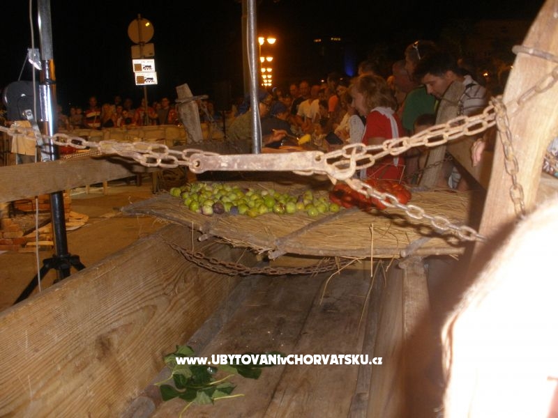 Appartements  Smokva   – Ferienwohnung Vodice, Kroatien – Foto 18