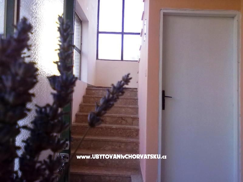 Appartements  Smokva   – Ferienwohnung Vodice, Kroatien – Foto 3