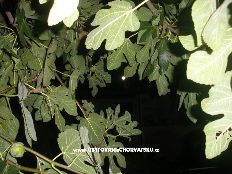 Appartements  Smokva   – Ferienwohnung Vodice, Kroatien – Foto 4