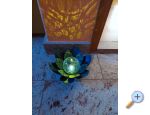 Apartmaji Alfirev - Vodice Hrvaka