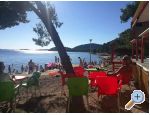 Apartmaji Angela Tribunj - Vodice Hrvaka