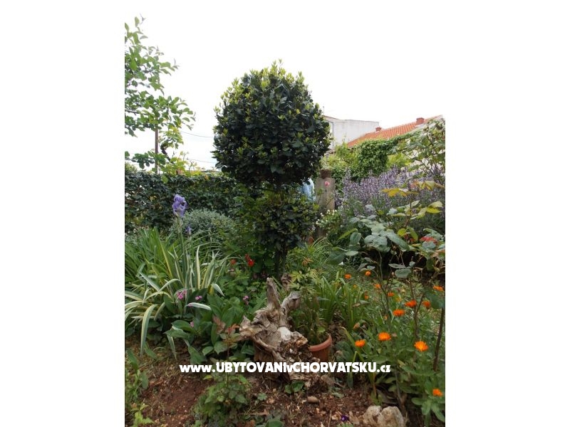 Appartements Bakmaz - Vodice – Ferienwohnung Vodice, Kroatien – Foto 3