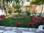 Apartmaji osi - Vodice Hrvaka