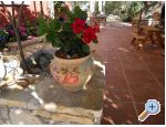 Apartmaji Dea&amp;Paula - Vodice Hrvaka