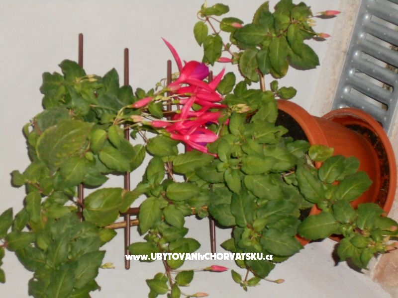 Appartements Gabriella – Ferienwohnung Vodice, Kroatien – Foto 12