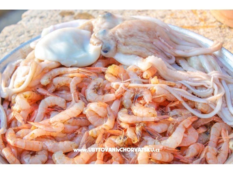 Lola's apartments – Ferienwohnung Vodice, Kroatien – Foto 10