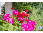 Apartmaji Ines - Vodice Hrvaka