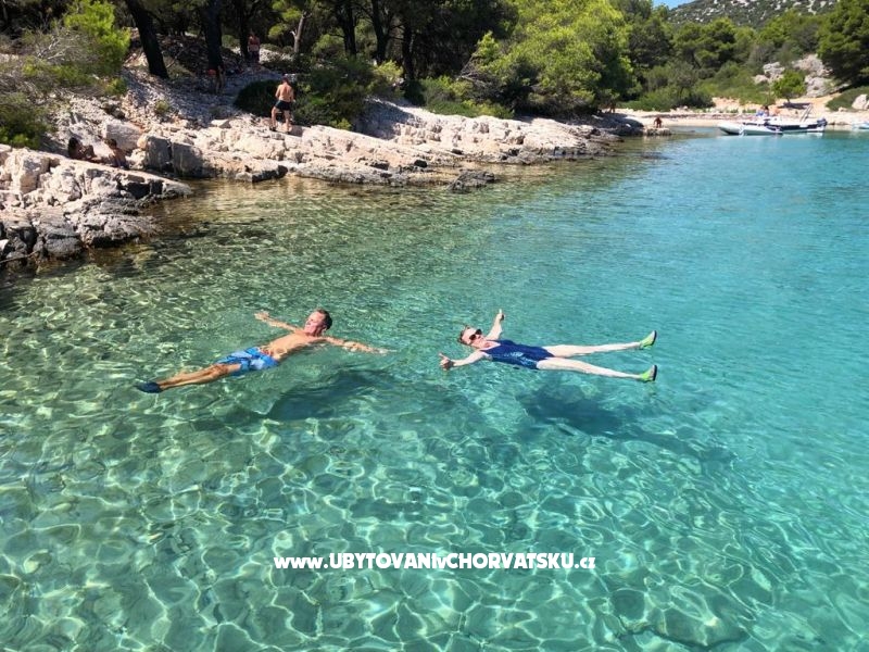 Appartements Klara  – Ferienwohnung Vodice, Kroatien – Foto 5